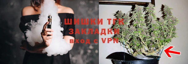 spice Богородск