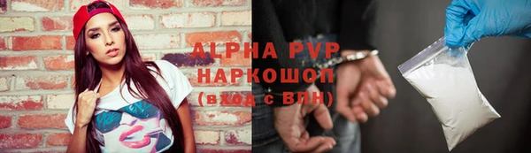 ECSTASY Богородицк
