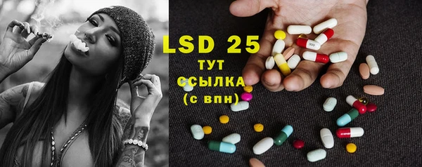 spice Богородск