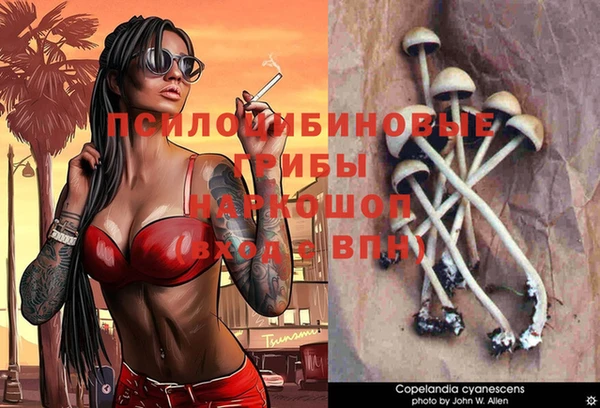 ECSTASY Богородицк