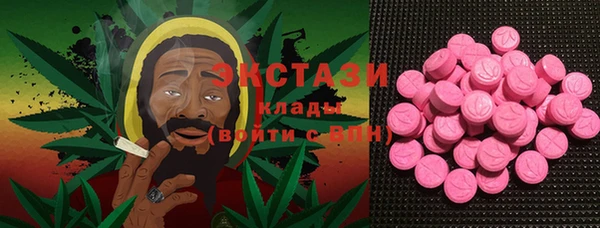 ECSTASY Богородицк