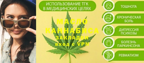 ECSTASY Богородицк
