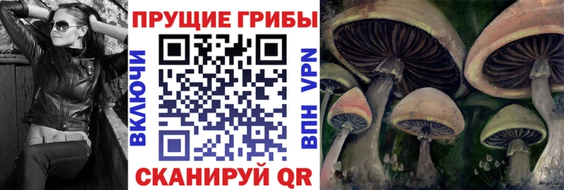 Псилоцибиновые грибы ЛСД  hydra зеркало  Ворсма  продажа наркотиков 